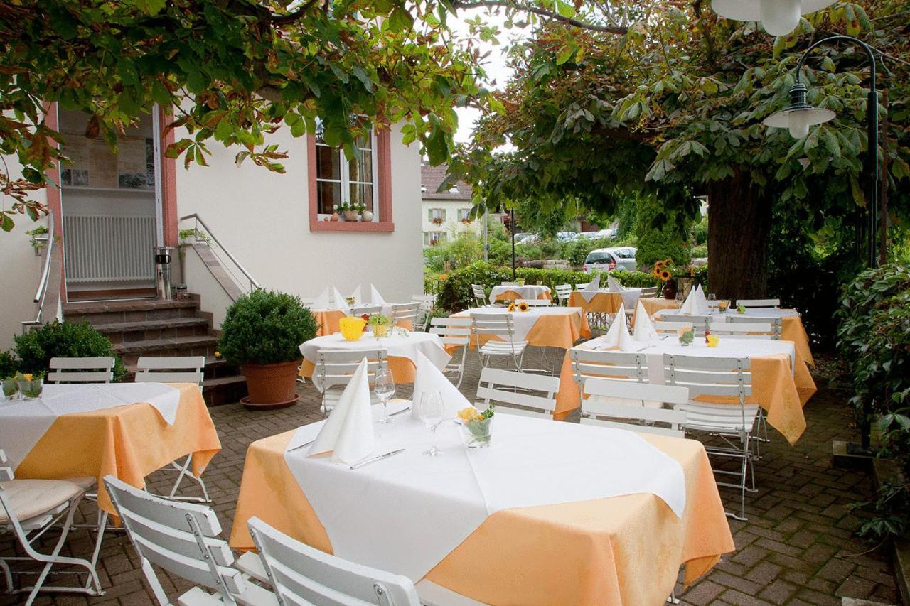 Rebstock Egringen 3* Efringen-Kirchen